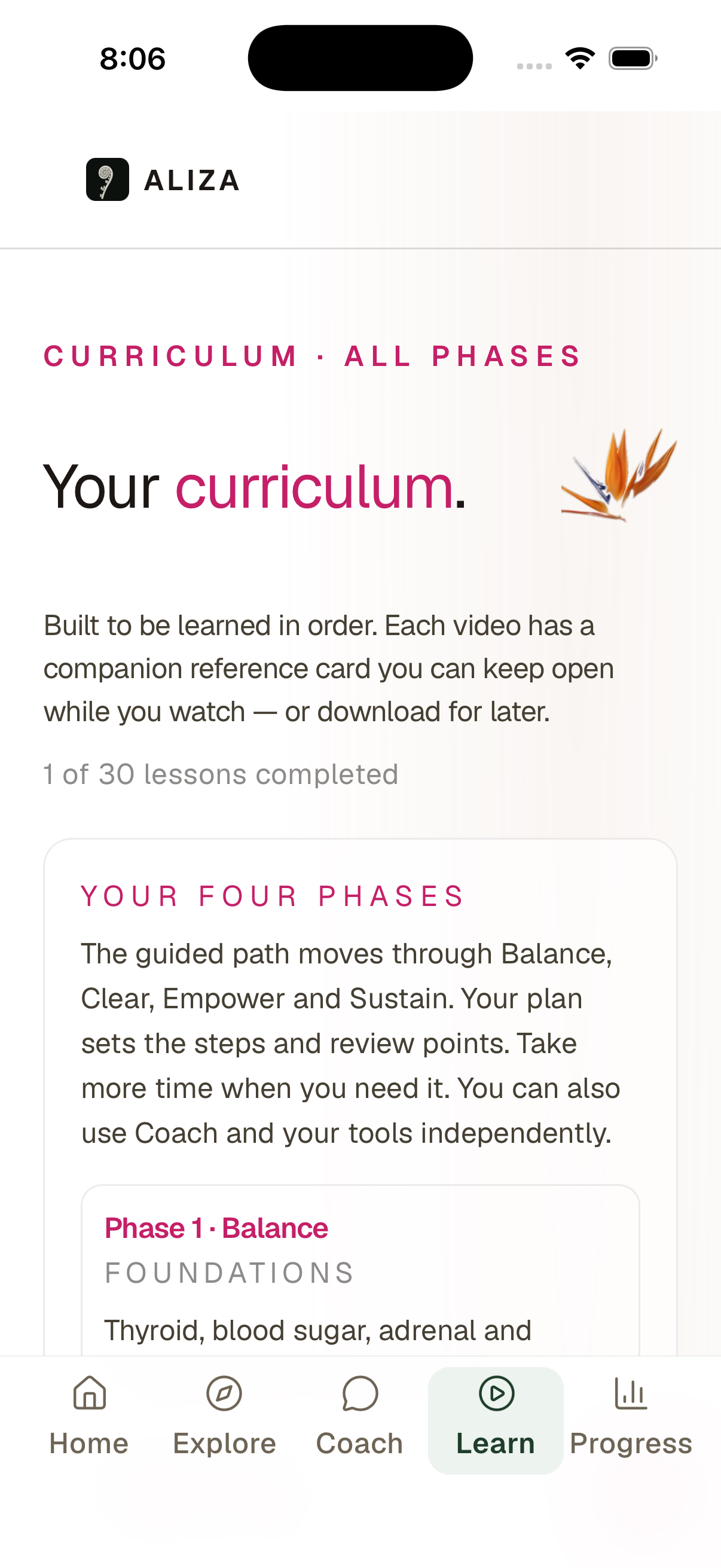 Actual Aliza guided curriculum in the fictional Dana account
